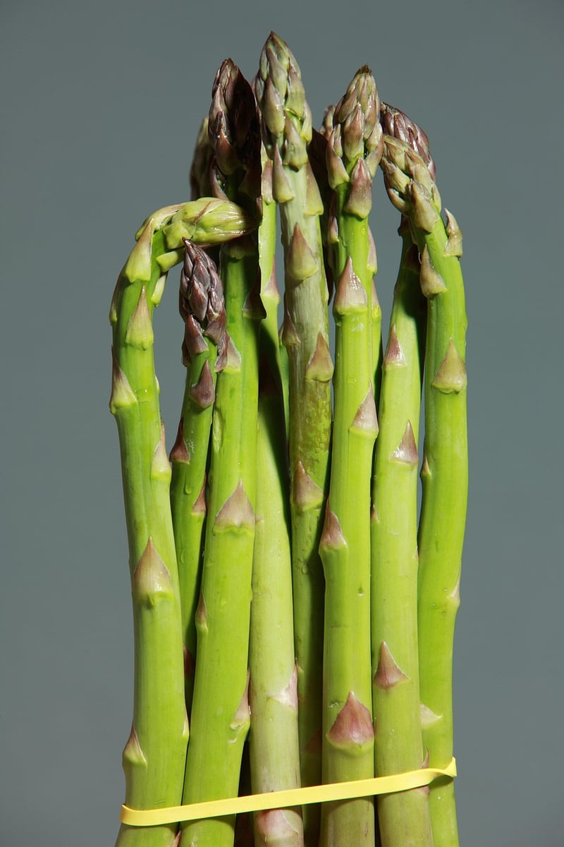 Nutrient-Rich Foods